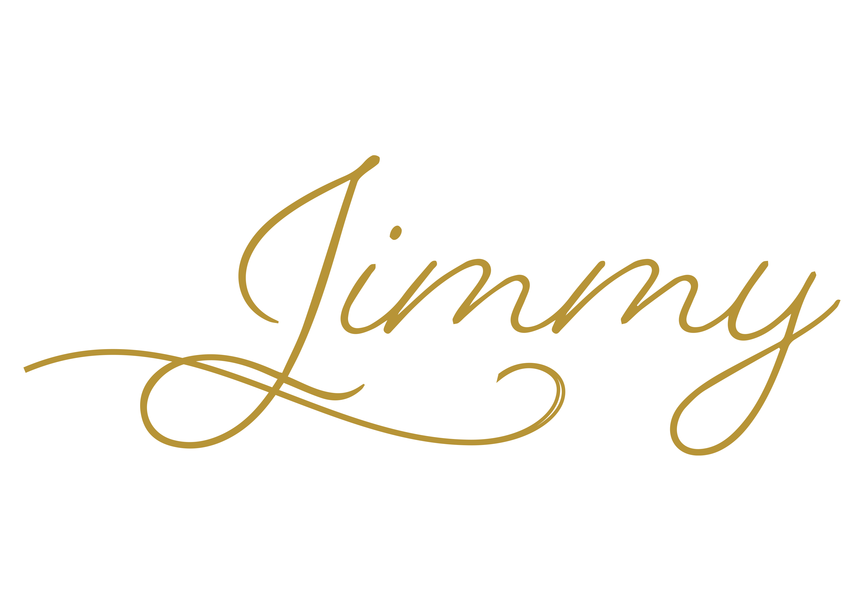 Jimmy Gold